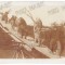 -3753 - CERNAVODA, The cargo of the sled - old postcard, real Photo - unused
