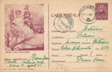 *Romania, Bucuresti, Parcul Libertatii, c.p.s. circulata intern, 1962