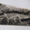 CARTE POSTALA TUSNAD -LACUL SF.ANA CIRCULATA