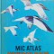 Mic Atlas Ornitologic - Dimitrie Radu , H142