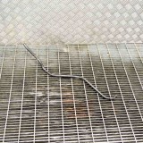 Furtun BMW Seria 3 F30 F80 (2015) OEM 8509995 11774887 - Original