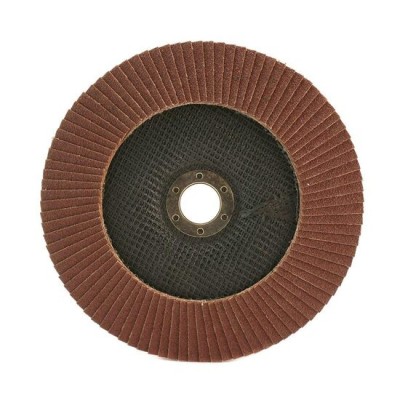 Abraziv lamelar frontal, P40, 115 mm GartenVIP DiyLine foto
