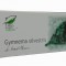 GYMNEMA SILVESTRE 30CPS