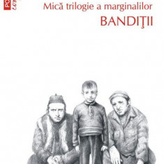 Bandiții. Mică trilogie a marginalilor (Vol. 2) - Paperback brosat - Vasile Ernu - Polirom