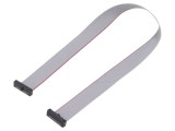 Cablu panglică SAMTEC IDC 11,75mm FFSD-10-D-11.75-01-N cu conectori IDC ambele părți