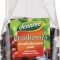 Merisoare bio 100g Dennree