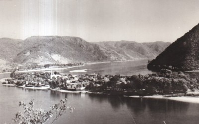 Ada Kaleh (necirculata) foto