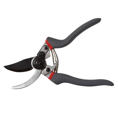 Foarfeca vie PROLINE cu lamele taiere maxima 19mm 40015 foto
