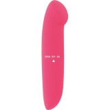Vibrator Phil Roz Glossy