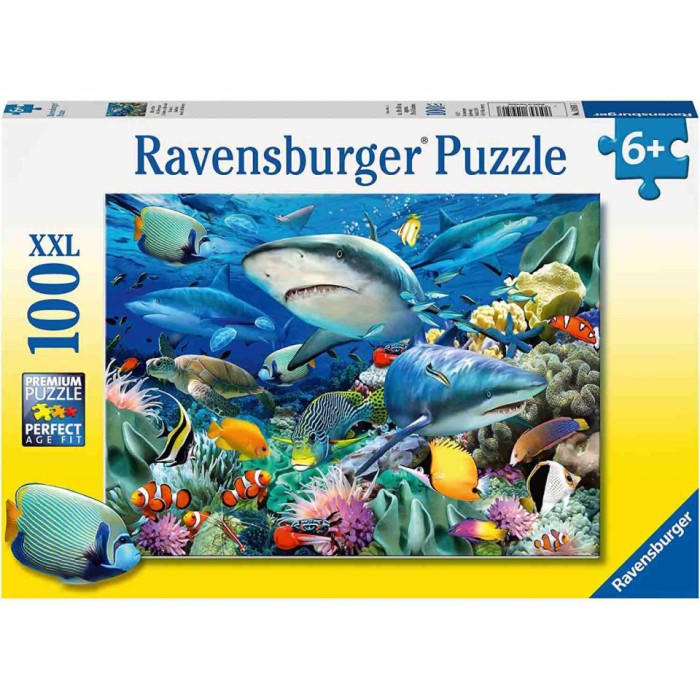 Puzzle Rechini, 100 Piese