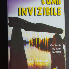 Lumi invizibile. Contacte cu lumi paralele - Florin Gheorghiță