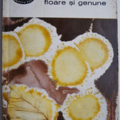 Floare si genune – Panait Cerna