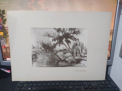 Hrandt Avachian, Planșă Delta, Ce bulgăre-n unde-a căzut..., Buc. 1976 224 foto
