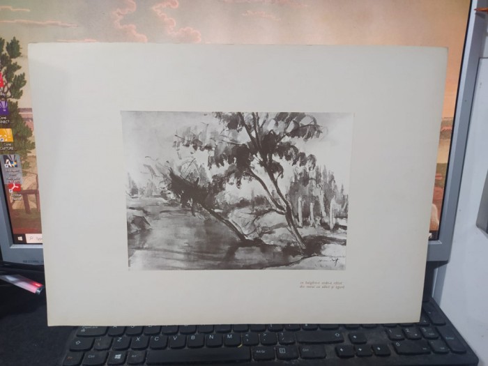 Hrandt Avachian, Planșă Delta, Ce bulgăre-n unde-a căzut..., Buc. 1976 224