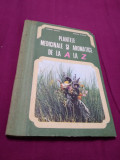 Cumpara ieftin PLANTE MEDICINALE SI AROMATICE DE LA A LA Z--OVIDU BOJOR