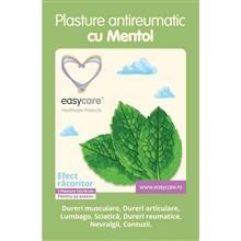 Plasture Antireumatic cu Mentol EasyCare 12x18cm 1buc Cod: 30120 foto