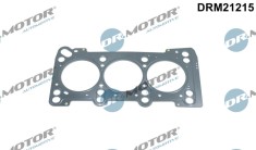 Garnitura, Chiulasa 268487 DRM21215
