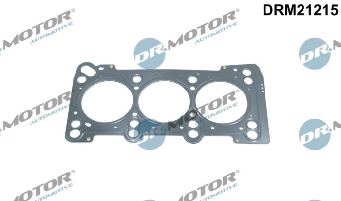 Garnitura, Chiulasa 268487 DRM21215
