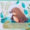 Libro ilustrado para ni