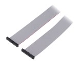 Cablu panglică SAMTEC IDC 609,6mm FFSD-20-D-24.00-01-N cu conectori IDC ambele părți
