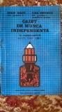Cumpara ieftin CAIET DE MUNCA INDEPENDENTA LA MATEMATICA PENTRU CLASAa II-a/IOAN NAGY,A.SEVICIU