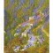 CPIB 16029 CARTE POSTALA - BAILE HERCULANE