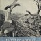 Mostly About Nibble the Bunny (Esprios Classics): Illustrated by William T. Andrews
