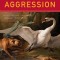 On Aggression