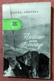 Hoinar prin Bucegi. Editura Tineretului, 1957 - Andrei Pandrea