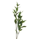 Ramură artificială cu frunze de dafin, 91 cm, verde, CMCLASS