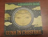 RABINDRANATH TAGORE== LUNA IN CRESTERE ilustratii ANGI PETRESCU TIPARESCU