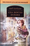 CEA DINTAI DURERE-EMIL GARLEANU-280346