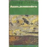 Acum, in noiembrie - Josephine Johnson