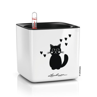 LECHUZA Jardinieră de masă &amp;bdquo;CUBE Glossy CAT 14 ALL-IN-ONE&amp;rdquo; alb lucios foto