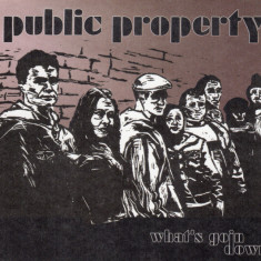 CD Public Property ‎– What's Goin Down