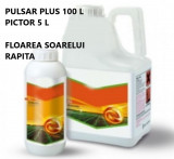 Pachet Complet Floarea Soarelui (Pulsar Plus 100 L+Pictor 5 L), BASF