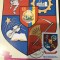 CPIF Stema cu timbru al judetului Botosani