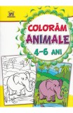 Cumpara ieftin Coloram Animale 4-6 Ani, - Editura DPH