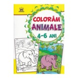 Coloram Animale 4-6 Ani, - Editura DPH