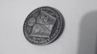 INSIGNA VECHE 40 MM foto