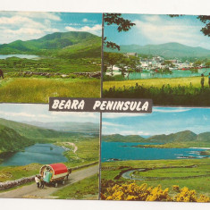 FA45-Carte Postala- IRLANDA - Beara Peninsula, circulata 1988