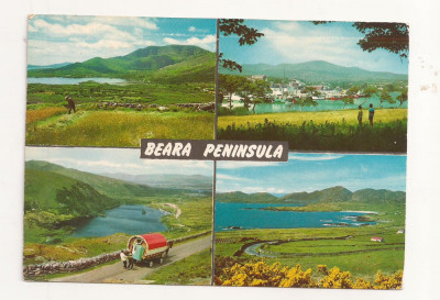 FA45-Carte Postala- IRLANDA - Beara Peninsula, circulata 1988 foto