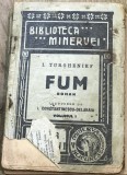 PPP. Biblioteca Minervei - Fum