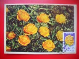 HOPCT MAXIMA ROMANIA NR 1211 TRANDAFIR GALBEN -FLORI