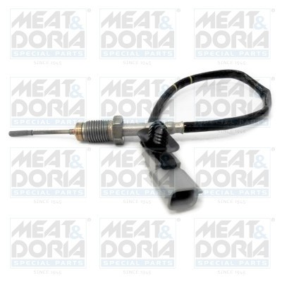 MEAT &amp;amp; DORIA 12134 Senzor, temperatura gaze evacuare foto