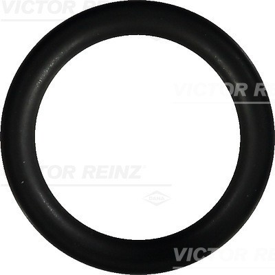 VICTOR REINZ 40-76246-00 Garnitura, galerie admisie foto