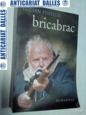 BRICABRAC - LUCIAN PINTILIE foto