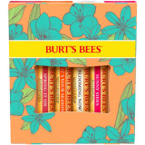 Burt&rsquo;s Bees Just Picked set &icirc;ngrijire buze