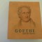Goethe si arta