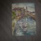 venetia ulei pe carton subtire 27x19cm fara rama
